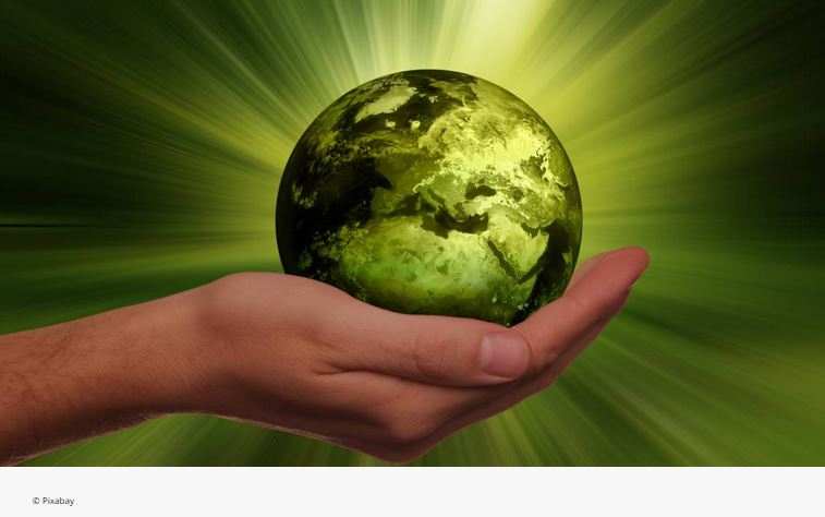 ÉCOLOGIE