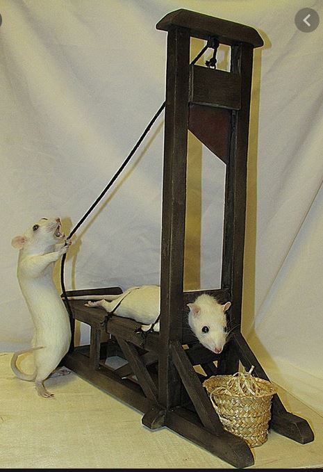 PEINE DE MORT AUX RATS