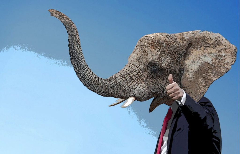 TRUMP AND TUSK