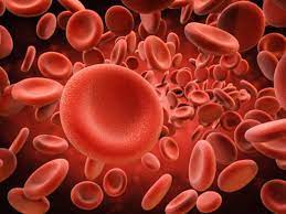 500 MILLIONS DE GLOBULES ROUGES