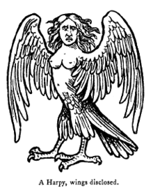 LA HARPIE